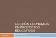 Gestion economica proyectos educativos