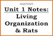 Anatomy Unit 1 Notes: Living Organization & Rats