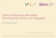 Skills Utilisation and Skills Development Policy in Singapore