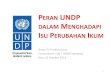 Peran UNDP Dalam Menghadapi Isu Perubahan Iklim