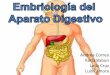 Embriología del Sistema Digestivo