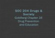 SOC 204 Goldberg Chapter 16 Prevention