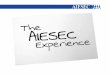 ¿Que es el AIESEC Experience?