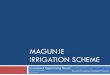 Magunje Irrigation Scheme  Organic Farming Potential (2)