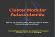 Cluster Modular Autocontenido - 2008