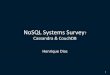 No sql system_survey