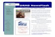 Orms news flash volume 1 issue 3