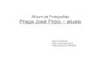 Álbum de fotografias da Praça José Firpo, atual