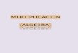 Multipli division(algebra)