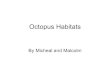 Octopus habitats