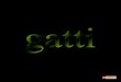 Gatti 090624135127-phpapp02
