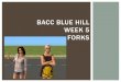 Bacc Blue Hill week 5 Forks