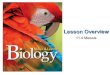 BIOLOGY CHAPTER 11.4 OVERVIEW