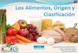Los alimentos, origen y clasificación