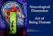 Neurological dimension