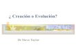 ¿creación o evolución?, por Steve Taylor