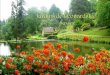 Jardins de leonardslee sussex uk