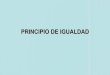 Derecho Constitucional I Chile: Principio de Igualdad
