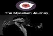Mycelium journey synth