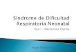 Síndrome de dificultad respiratoria neonatal tipo i