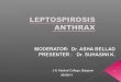 Leptospirosis and Anthrax