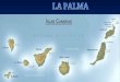Chus - La Palma