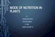 Mode of Nutrition in Plants