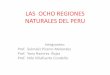 Las ocho regiones naturales del peru