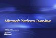 20080410 Microsoft Platform Overview