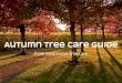 Autumn Tree Care Guide