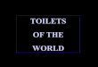 Toile tofthe world
