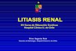 Litiasis Renal 2010