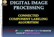 Connected component labeling algorithm