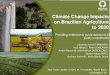 Climate Change Impacts on Brazilian Agriculture to 2030