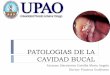 Patologias de la cavidad bucal  Dr. Fonseca