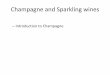 2014 introduction to champagne