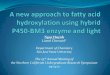 Development and Optimazation of Fatty Acids Hydroxylation using Hybrid P450 Enzymes