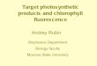 Andrey rubin target photosynthetic products and chlorophyll fluorescence