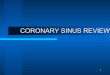 Coronary sinus review