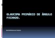 Glaucoma primário de ângulo fechado - Oftalmologia - CEPOA - Dr. Michel Bittencourt Santos