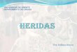HERIDAS - ITPP4