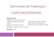 Seminario de carcinogenesis