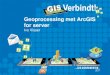 Geoprocessing met ArcGIS for server