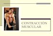 Proceso ContraccióN Muscular