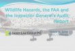 Wildlife Hazards, the FAA and the Inspector General's Audit Report