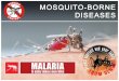 Malaria and Dengue