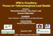 Yellowmargined flea beetlre management on crucifer crops
