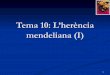 Tema 10  Bio1 2009 10(HerèNcia1 Mendel)