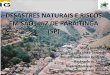 DESASTRES NATURAIS E RISCOS EM SÃO LUIZ DO PARAITINGA (SP)