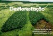 Desflorestação e florestas